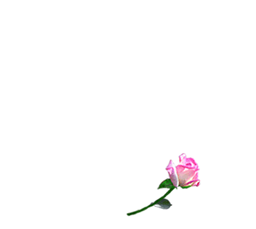 Gif animé coeur de roses
